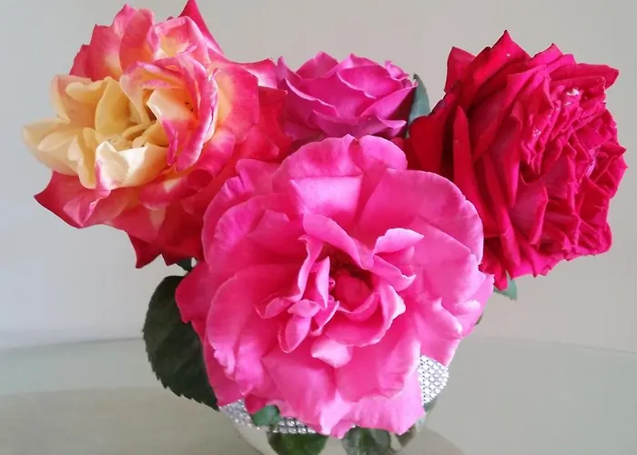 Mirador Balcon De Jandia *