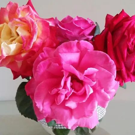 Mirador Balcon De Jandia *